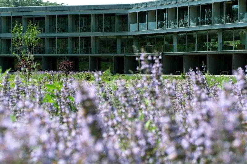 Hotel Món Sant Benet Sant Fruitós de Bages Buitenkant foto